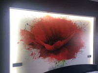 IMG-20180131-WA0022.jpg